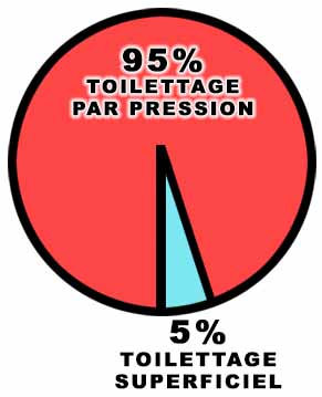 95% de toilettage par pression, 5% de toilettage superficiel