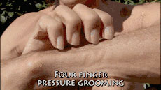 Four-finger pressure grooming stroke