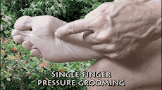 Single-finger pressure grooming stroke