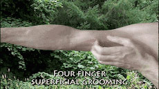 Four-finger superficial grooming stroke