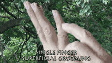 Single-finger superficial grooming stroke