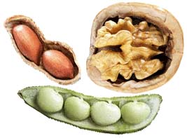 Vertical center fold on nuts and beans