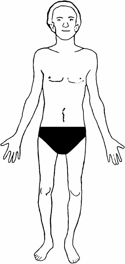 Nude body except for genitals