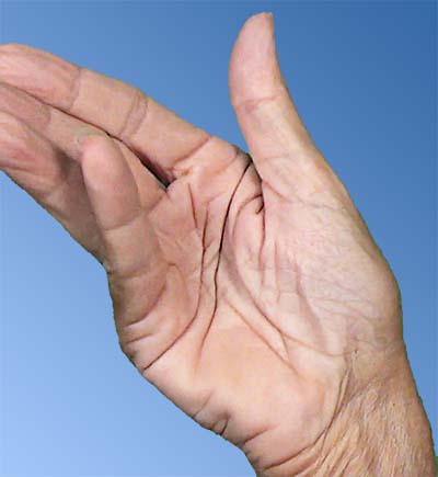 Diagonal hand folds
