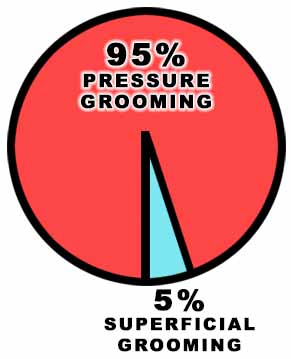 95% pressure grooming, 5% superficial grooming