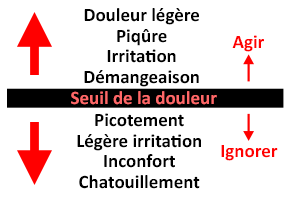 Seuil de la douleur. Tableau 1
