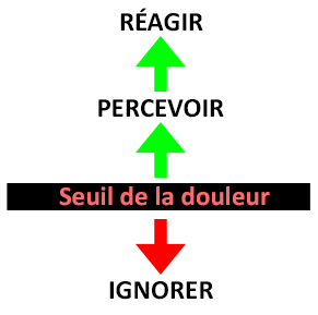 Seuil de la douleur. Tableau 3