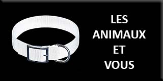 Animals and you