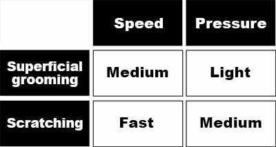 Difference between superficial grooming and scratching