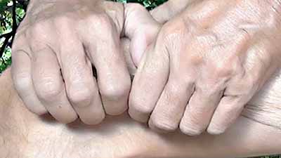 Two-handed, four-finger pressure grooming stroke