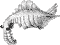 Anomalocaris