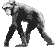 Chimpanzee